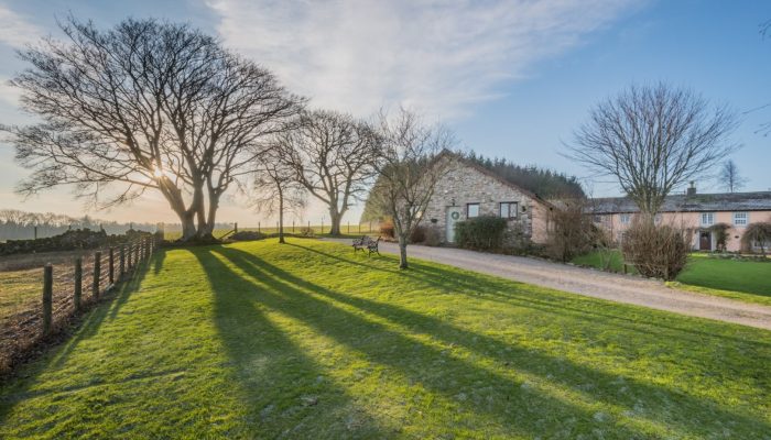 Exteriorof cottage with trees